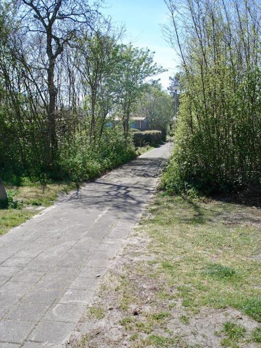 Apartment Strandhuisje Daan Dicht Bij Zee En *